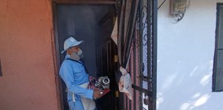 Foto: Febrero inicia con lucha intensa contra el dengue en Monseñor Lezcano / TN8