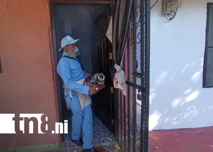 Foto: Febrero inicia con lucha intensa contra el dengue en Monseñor Lezcano / TN8