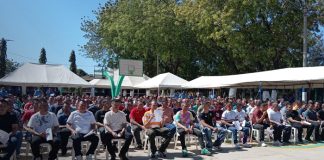 Foto: 1 mil 200 personas reciben beneficios de convivencia familiar en Nicaragua / TN8