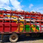 Foto: Operativo militar en Bonanza frena transporte ilegal de semovientes/Cortesía