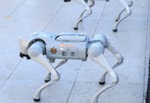 Foto: Robots refuerzan la seguridad en Guadalupe para el Mundial 2026/TN8