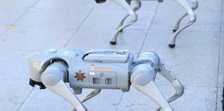 Foto: Robots refuerzan la seguridad en Guadalupe para el Mundial 2026/TN8