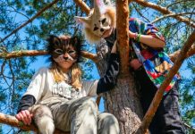 ¿Qué es un “therian” y por qué se habla de ellos en Argentina? Foto: Argentina y el fenómeno therian /cortesía