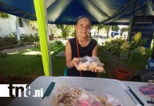 Foto: Unan Managua realiza Festival Cultural en alusión al Mes del Amor y la Amistad / TN8