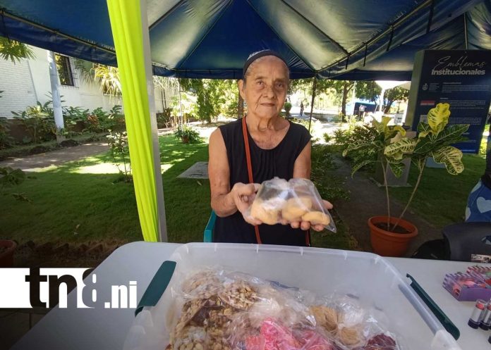 Foto: Unan Managua realiza Festival Cultural en alusión al Mes del Amor y la Amistad / TN8