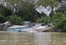 Colombia lanza medidas ante crisis climática y alza de alimentos Foto: Colombia responde a emergencia /cortesía