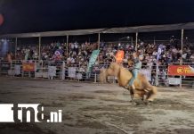 Feria ganadera con el mejor rodeo en celebración de las fiestas de Matagalpa Foto: Feria ganadera con el mejor rodeo en celebración de las fiestas de Matagalpa/TN8