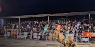 Foto: Feria ganadera con el mejor rodeo en celebración de las fiestas de Matagalpa/TN8