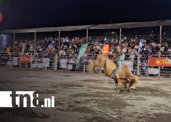 Foto: Feria ganadera con el mejor rodeo en celebración de las fiestas de Matagalpa/TN8