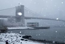 Del parque a los refugios: Nueva York enfrenta su invierno más crudo en décadas Foto: La tormenta pasó, pero el peligro persiste para los más vulnerables en Nueva York /Cortesía