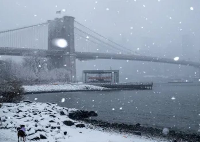 Foto: La tormenta pasó, pero el peligro persiste para los más vulnerables en Nueva York /Cortesía