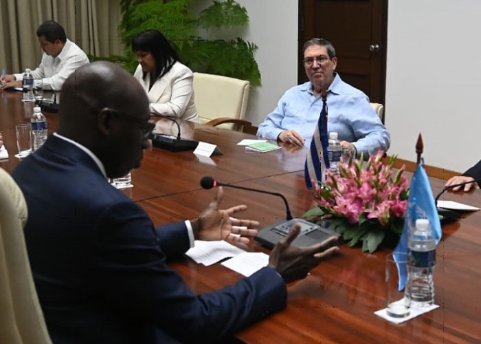 Palestina: delegación del Comité de la ONU visita Cuba
