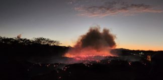 Foto: Incendio controlado en Lomas de Granada por bomberos/TN8