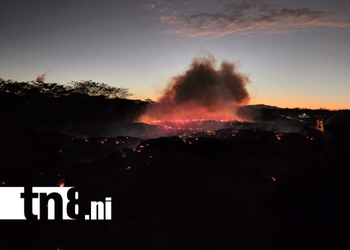 Foto: Incendio controlado en Lomas de Granada por bomberos/TN8