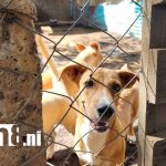 Foto: El trabajo diario de Casa Hogar Lucito /cortesía