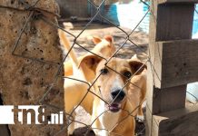 Foto: El trabajo diario de Casa Hogar Lucito /cortesía