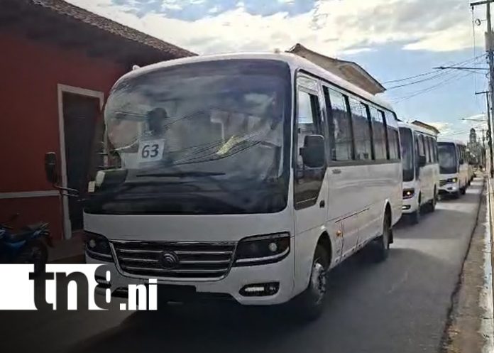 Foto: Granada avanza con la incorporación de nuevas unidades de transporte/ TN8