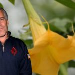 Foto: Jeffrey Epstein vuelve a la polémica /cortesía