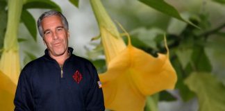 Foto: Jeffrey Epstein vuelve a la polémica /cortesía