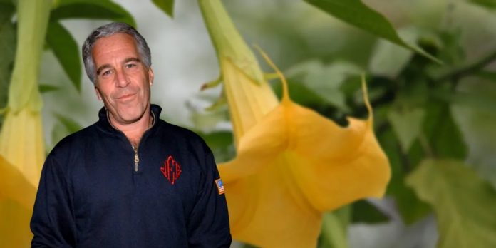 Foto: Jeffrey Epstein vuelve a la polémica /cortesía