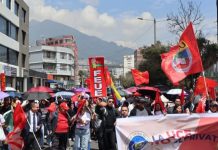 Docentes en Ecuador protestan contra reforma que asfixia la educación Foto: Ecuador debate reforma clave /cortesía