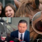 ¡Increíble! Chavalo que se cree caballo exige “Ley Therian” en México Foto: Exigen Ley Therian en México /cortesía