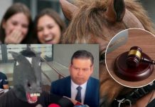 ¡Increíble! Chavalo que se cree caballo exige “Ley Therian” en México Foto: Exigen Ley Therian en México /cortesía