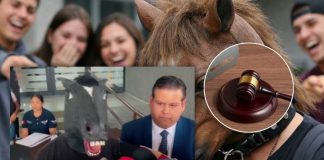Foto: Exigen Ley Therian en México /cortesía