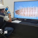 Foto: IPSA refuerza vigilancia para proteger producción agropecuaria/Cortesía