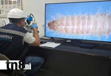 Foto: IPSA refuerza vigilancia para proteger producción agropecuaria/Cortesía