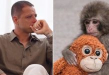 Foto: De viral a reflexión: Chicharito y el mensaje detrás de Punch / Cortesía