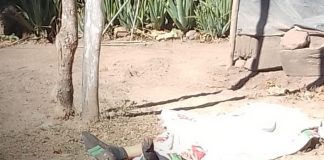 Foto: Homicidio en Condega deja un muerto tras discusión/TN8
