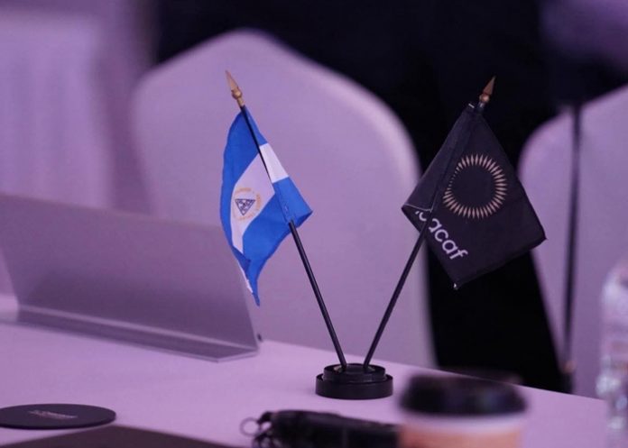 Foto: Nicaragua alcanza resultados históricos en el proceso mundialista rumbo a 2026/ Cortesía