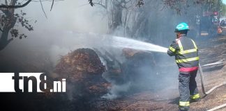 Foto: Emergencia en León /cortesía