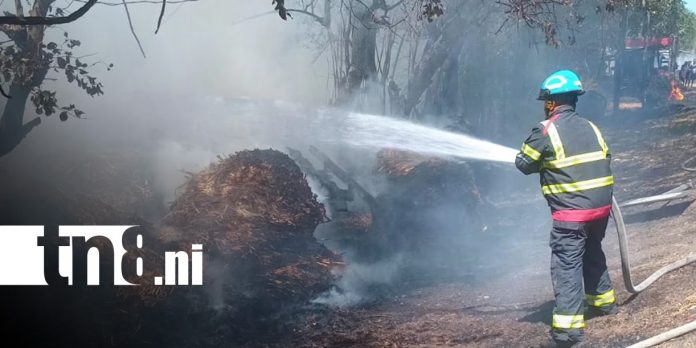Foto: Emergencia en León /cortesía Foto: Emergencia en León /cortesía
