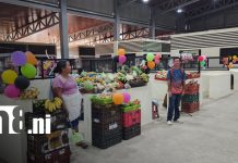 Nuevo Mercado Félix Pedro Carrillo fortalece el comercio en Sutiaba con espacios ordenados Foto: Mercado Félix Pedro Carrillo impulsa el comercio en Sutiaba/TN8