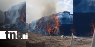 Foto: Incendio de pacas de caña es controlado sin afectaciones en la Carretera Vieja a León/TN8