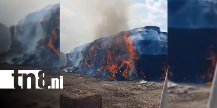 Foto: Incendio de pacas de caña es controlado sin afectaciones en la Carretera Vieja a León/TN8