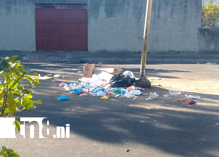 Foto: Vecinos piden medidas urgentes por botadero ilegal en Las Mercedes /TN8