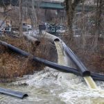 Foto: Trump declara estado de emergencia en Washington D.C. /Cortesía