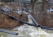 Foto: Trump declara estado de emergencia en Washington D.C. /Cortesía