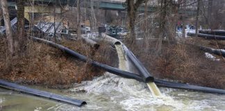 Foto: Trump declara estado de emergencia en Washington D.C. /Cortesía