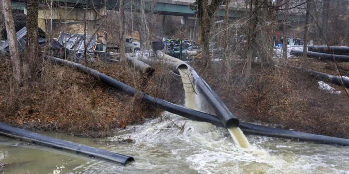 Foto: Trump declara estado de emergencia en Washington D.C. /Cortesía