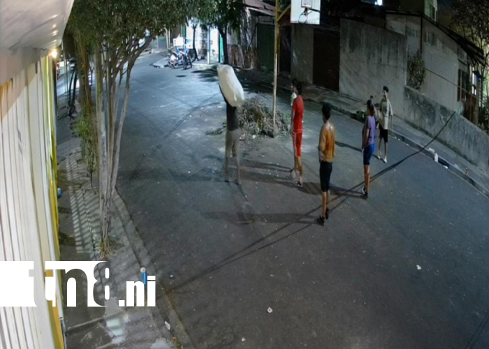 Foto: Vecinos piden medidas urgentes por botadero ilegal en Las Mercedes /TN8
