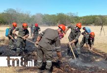 Nicaragua fortalece prevención y control de incendios forestales FOTO: Ejército refuerza plan contra incendios forestales en Nicaragua/TN8