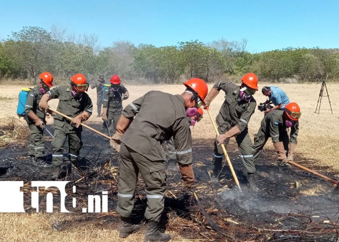 FOTO: Ejército refuerza plan contra incendios forestales en Nicaragua/TN8
