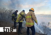 Caza de garrobos y quema de basura habrían provocado incendio en el cerro Motastepe Foto: Caza de garrobos y quema de basura habrían provocado incendio en el cerro Motastepe/TN8