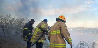 Foto: Caza de garrobos y quema de basura habrían provocado incendio en el cerro Motastepe/TN8