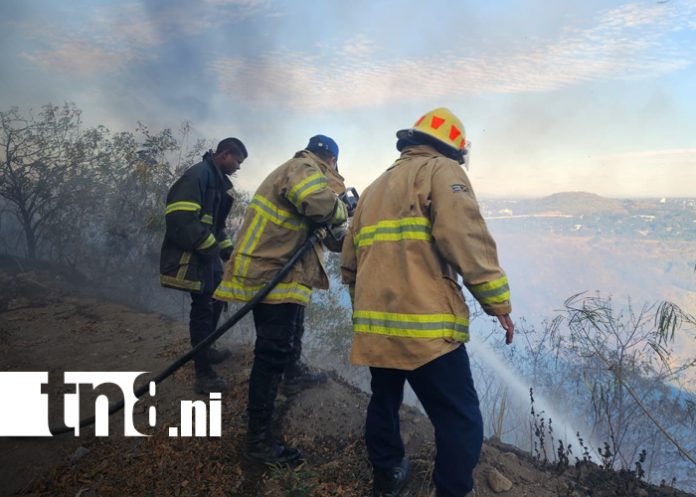 2 Foto: Caza de garrobos y quema de basura habrían provocado incendio en el cerro Motastepe/TN8