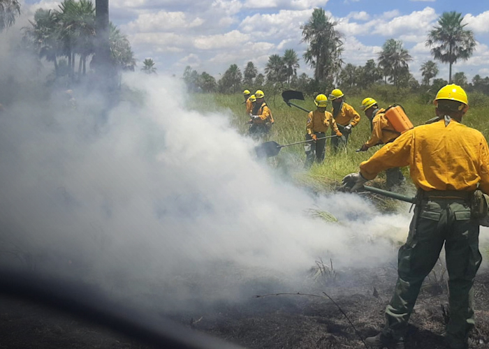 Foto: Incendios forestales en Paraguay - Argentina /cortesía 
